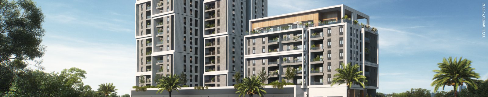 JOY נופי בן שמן