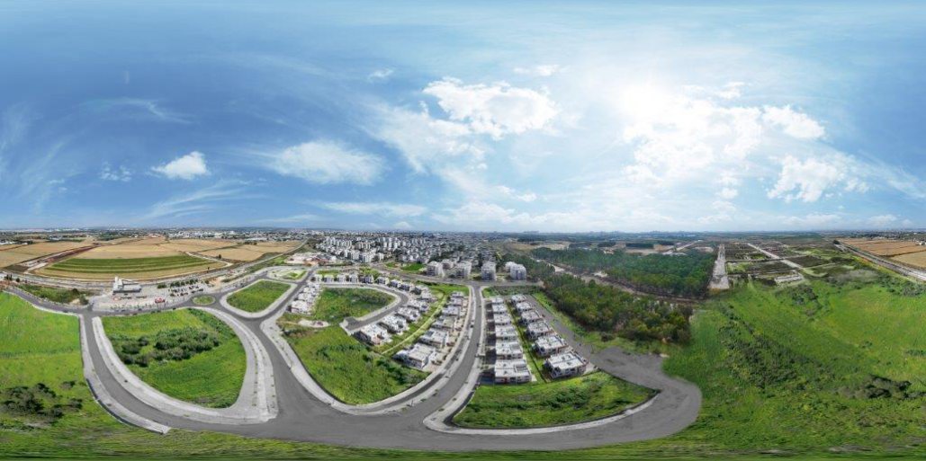 חורשת האקליפטוס