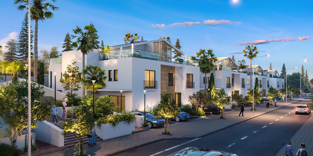 תצפית במבוא מודיעים