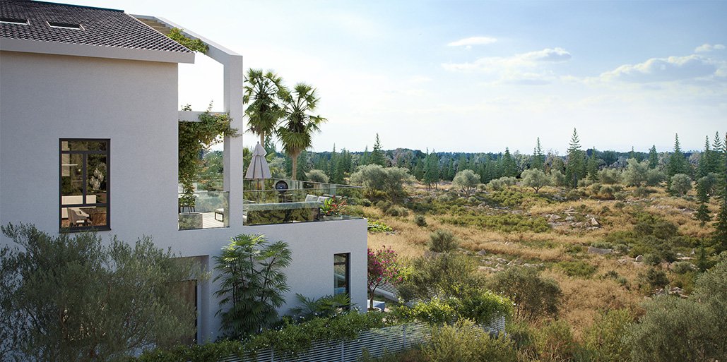 תצפית במבוא מודיעים