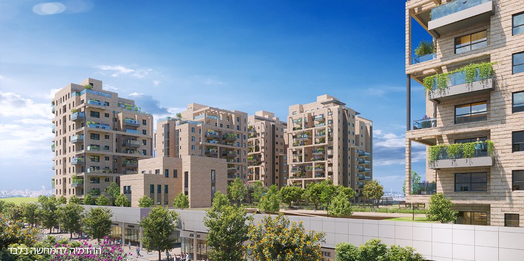 תלפיות החדשה