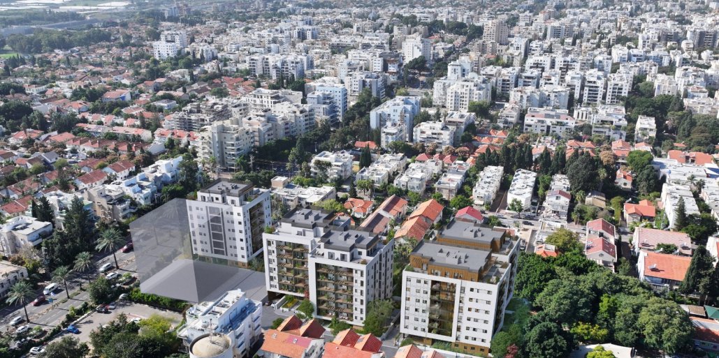 ארז-תירוש דוד אלעזר