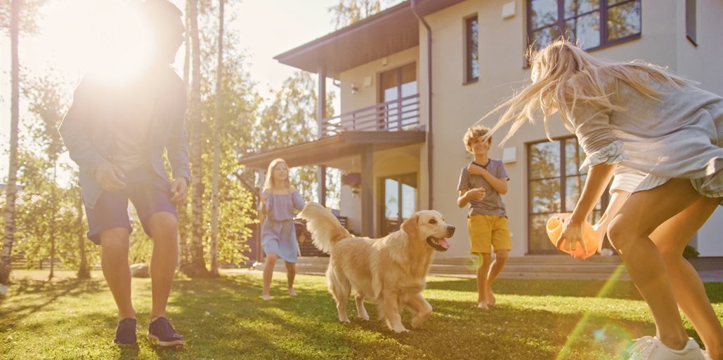 ברקן באריאל
